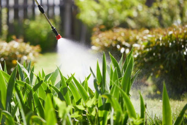 24/7 Emergency Cockroach Control experts in McComb, OH