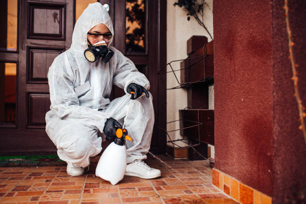 Reliable Cockroach Control contractor in McComb, OH by Nex Pest Control